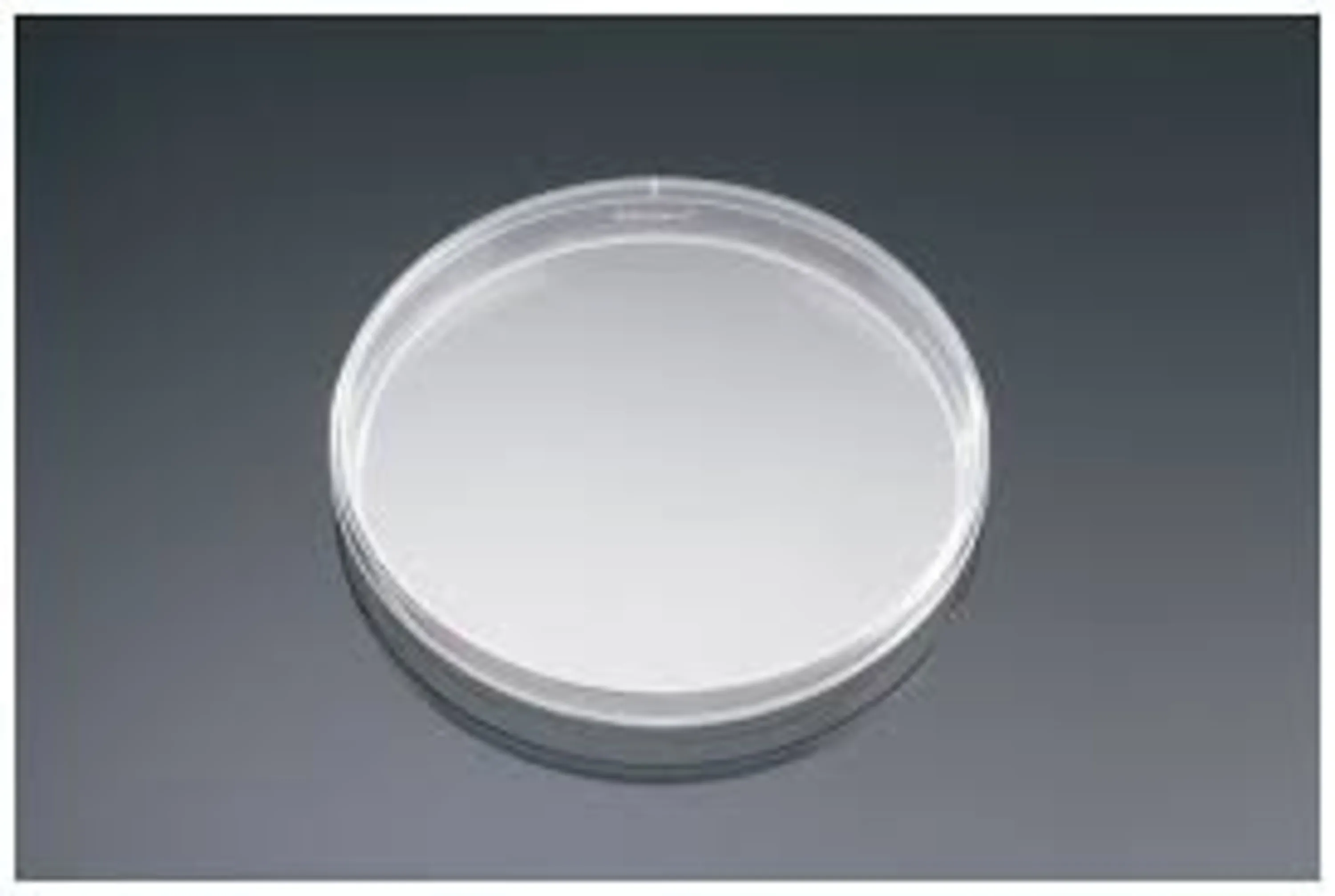 پلیت کشت باکتری10 سانت بسته 16 تایی bacteriological petri dish kalazist